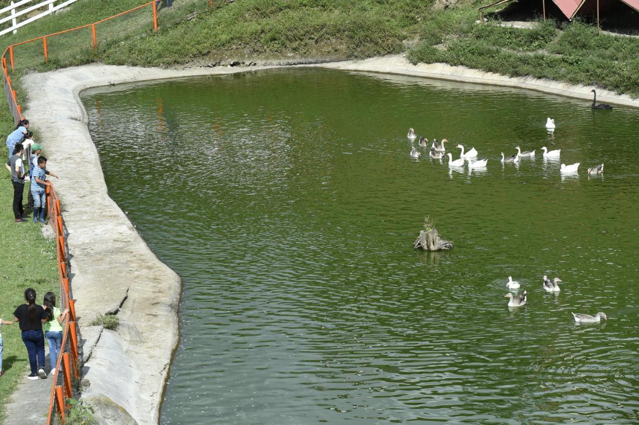 Alojamiento Rural Fogón de Palo Manizales Exterior foto